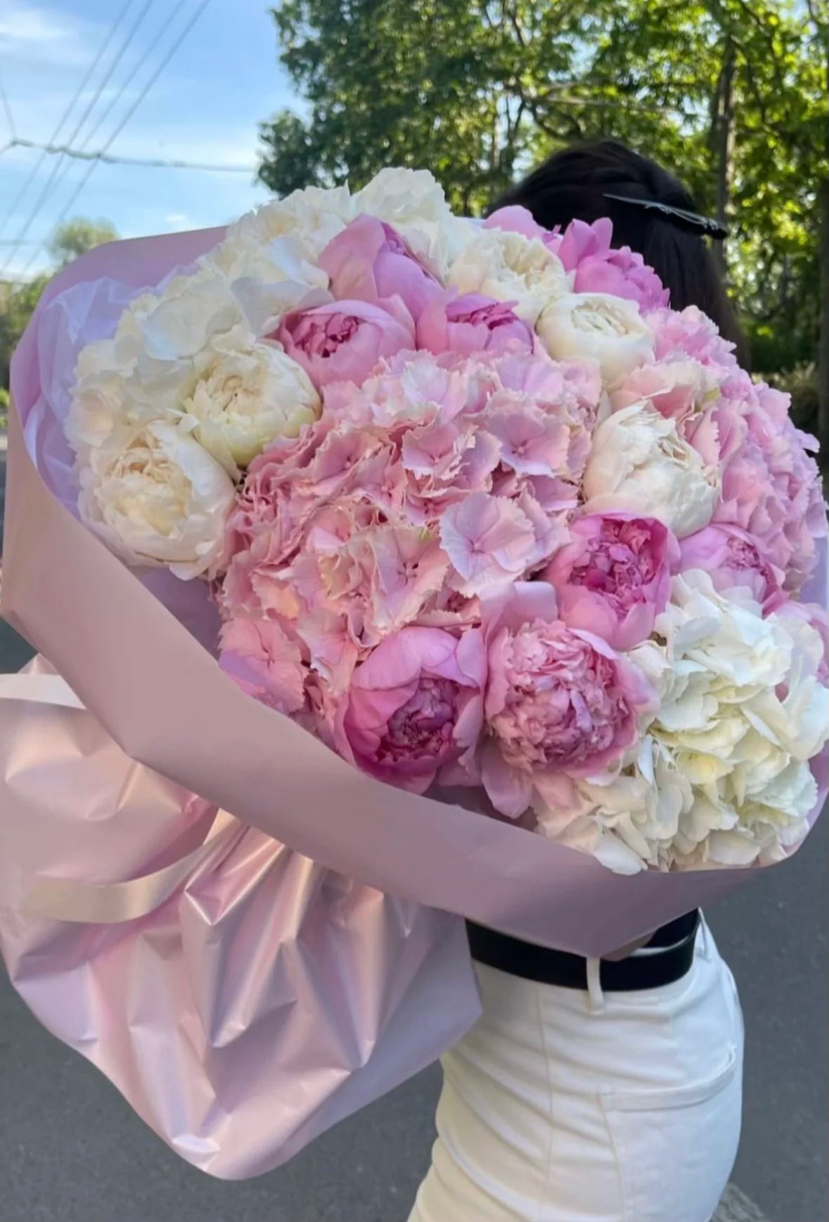 Princess Collection